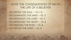 Slide 7