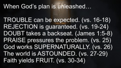 Slide 7