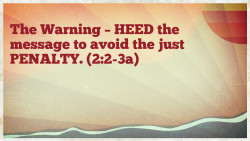 Slide 8