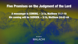Slide 7