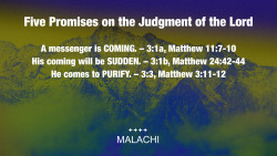 Slide 8