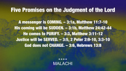 Slide 10