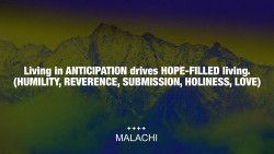 Slide 11