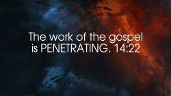 Slide 7