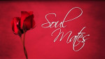 Soul Mates<br>(Series)
