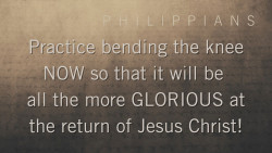 Slide 10