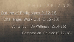 Slide 7